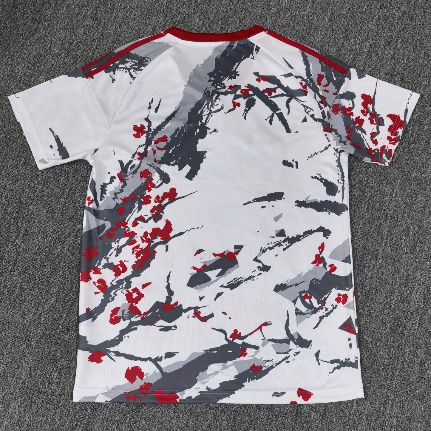 Japan Concept Jersey 25/26