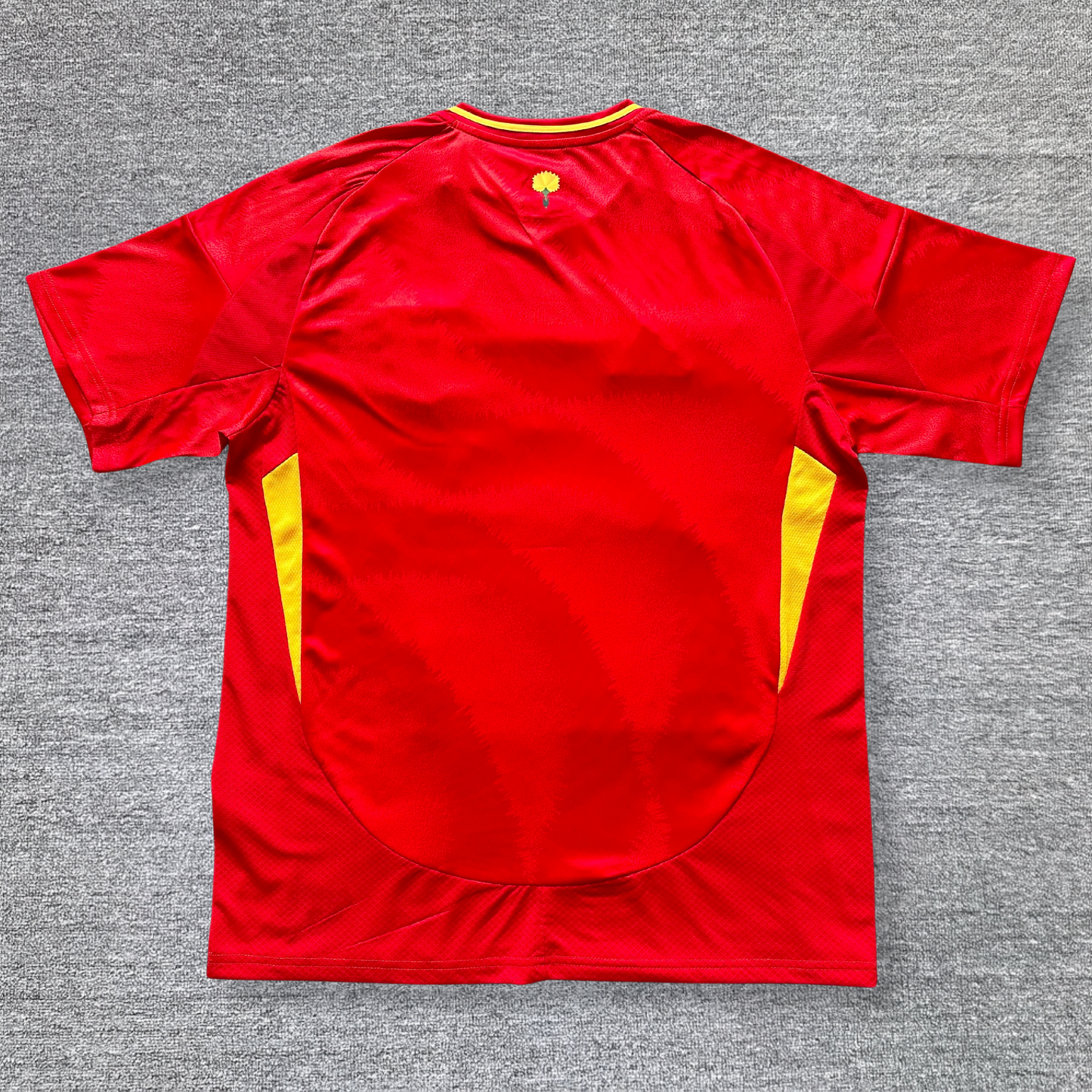 Spain 2024 jersey