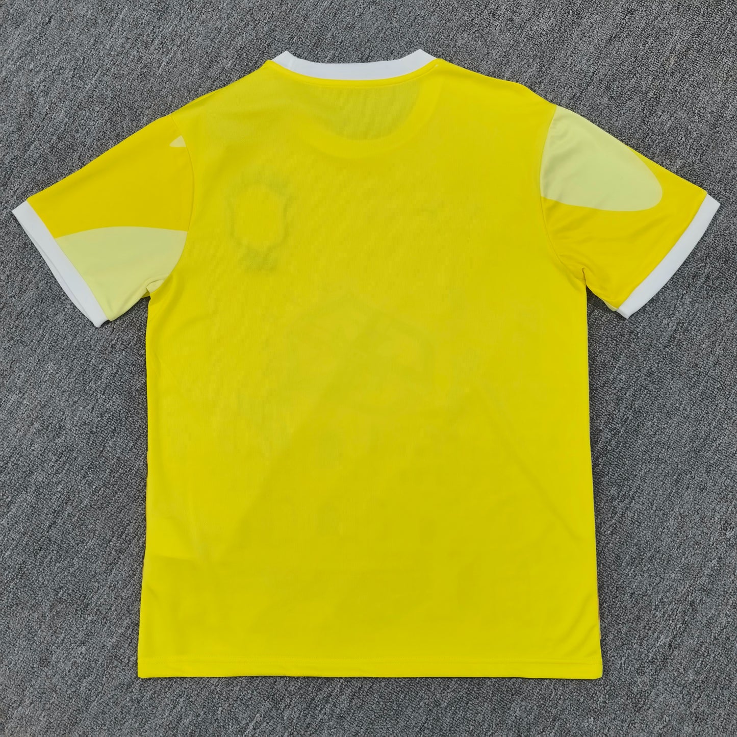 Brazil Concept 24/25 Jersey