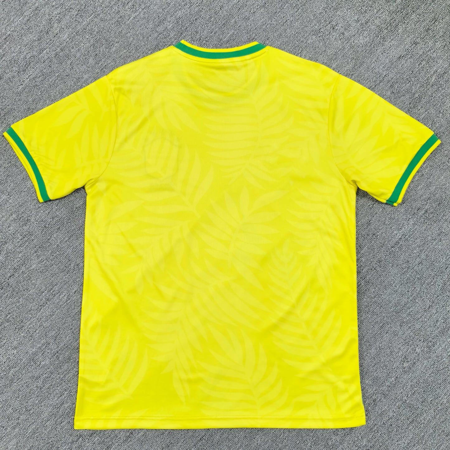 Brazil Concept 24/25 Jersey