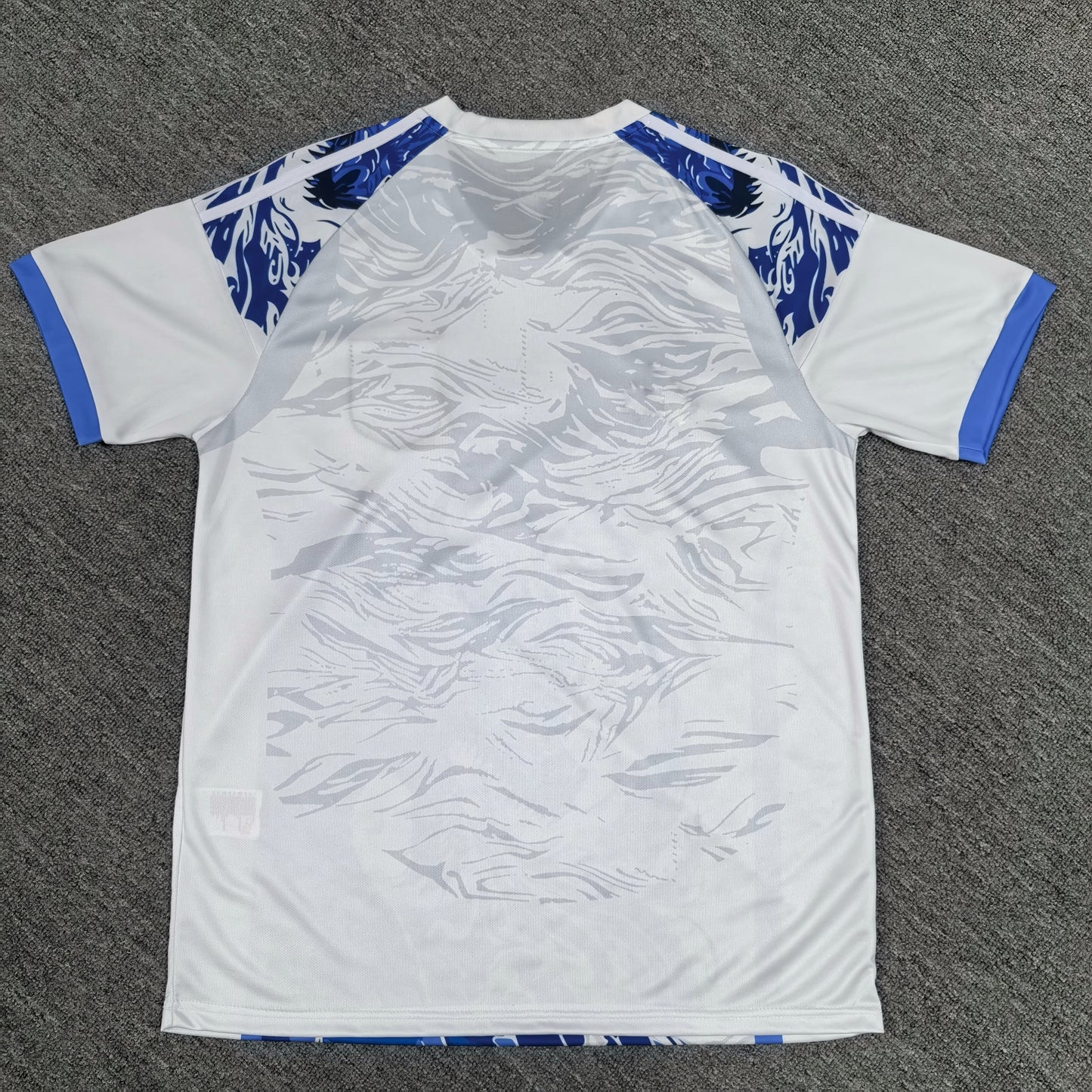 Japan Concept Jersey 25/26