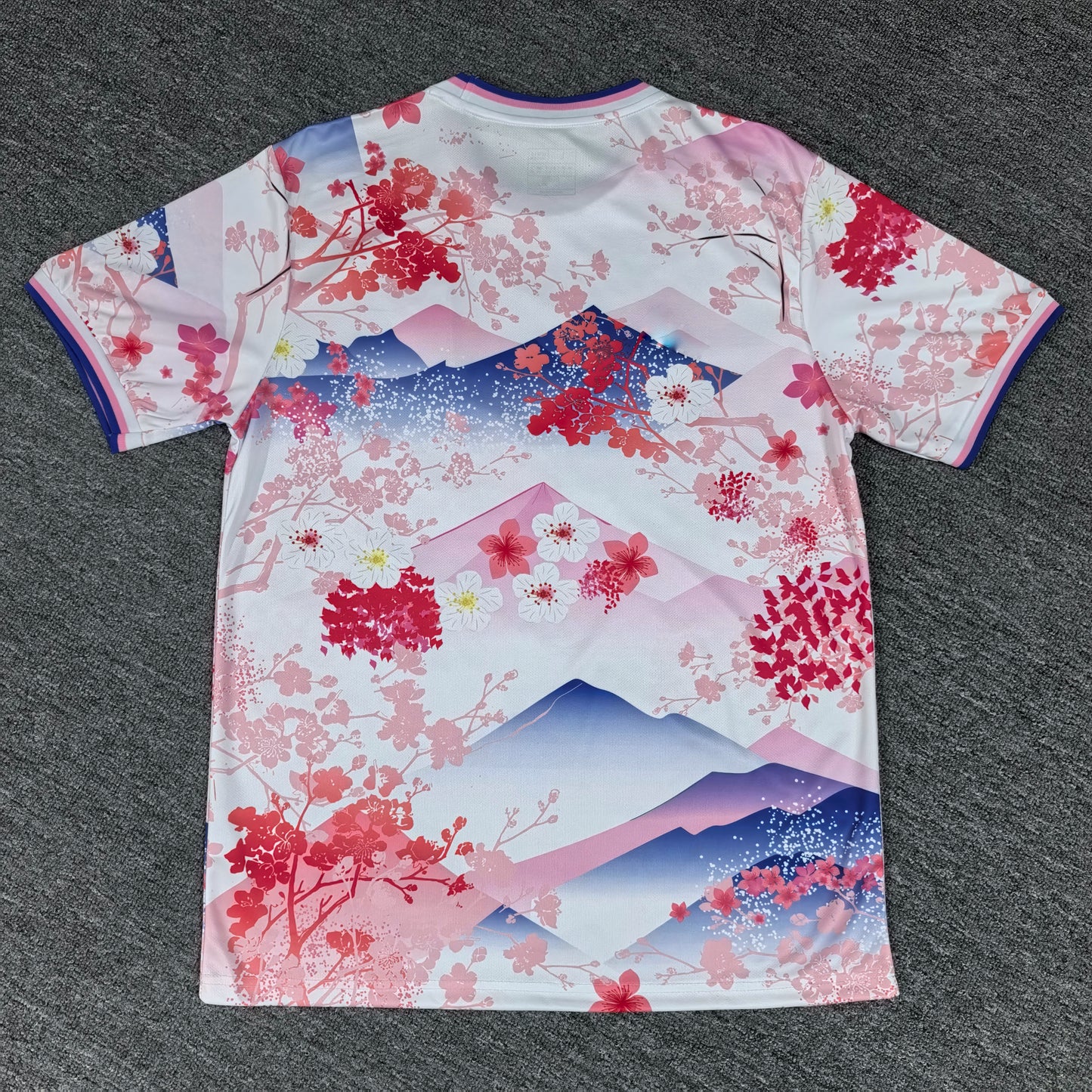 Japan Concept Jersey 25/26