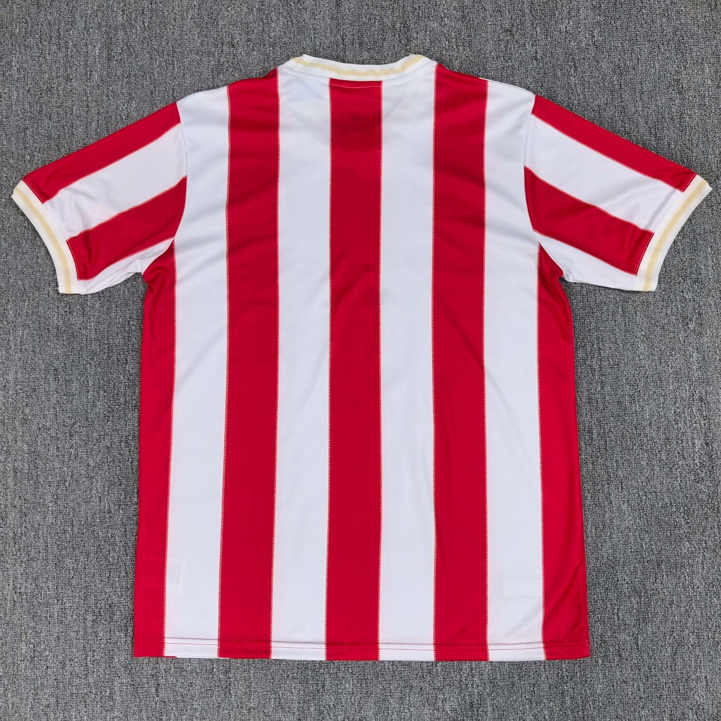 FC Nuremberg 25/26 Jersey