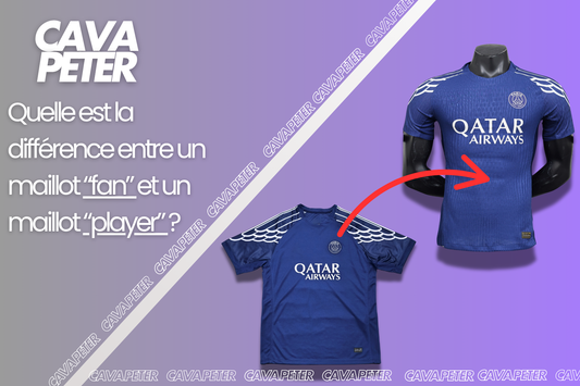 Fan Version VS Player Version ?