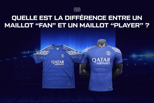 Fan Version VS Player Version ?