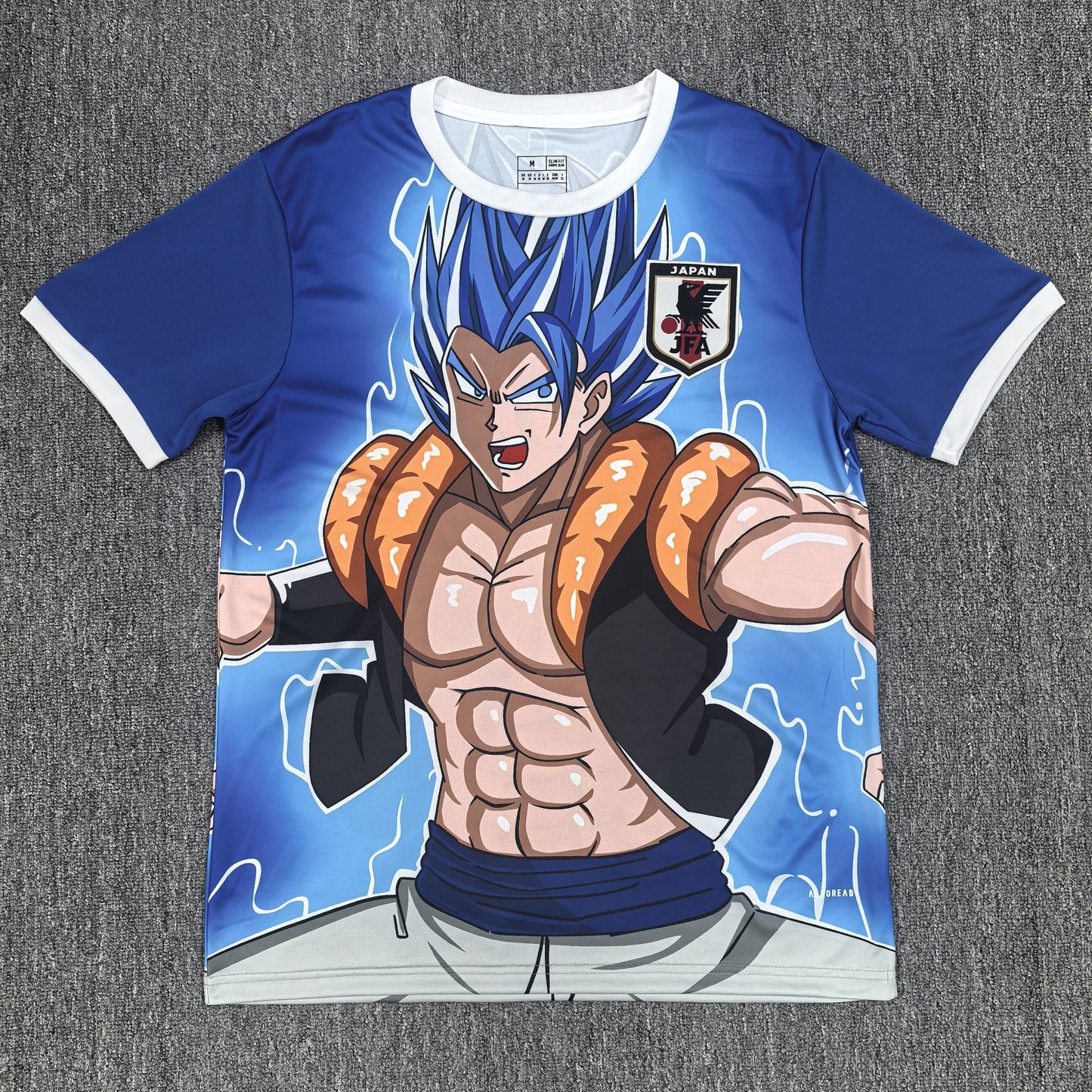Maillot Japon Concept 25/26