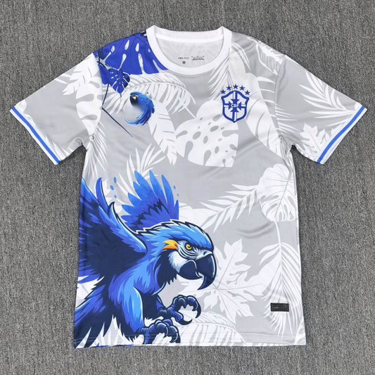 Brazil Concept 24/25 Jersey