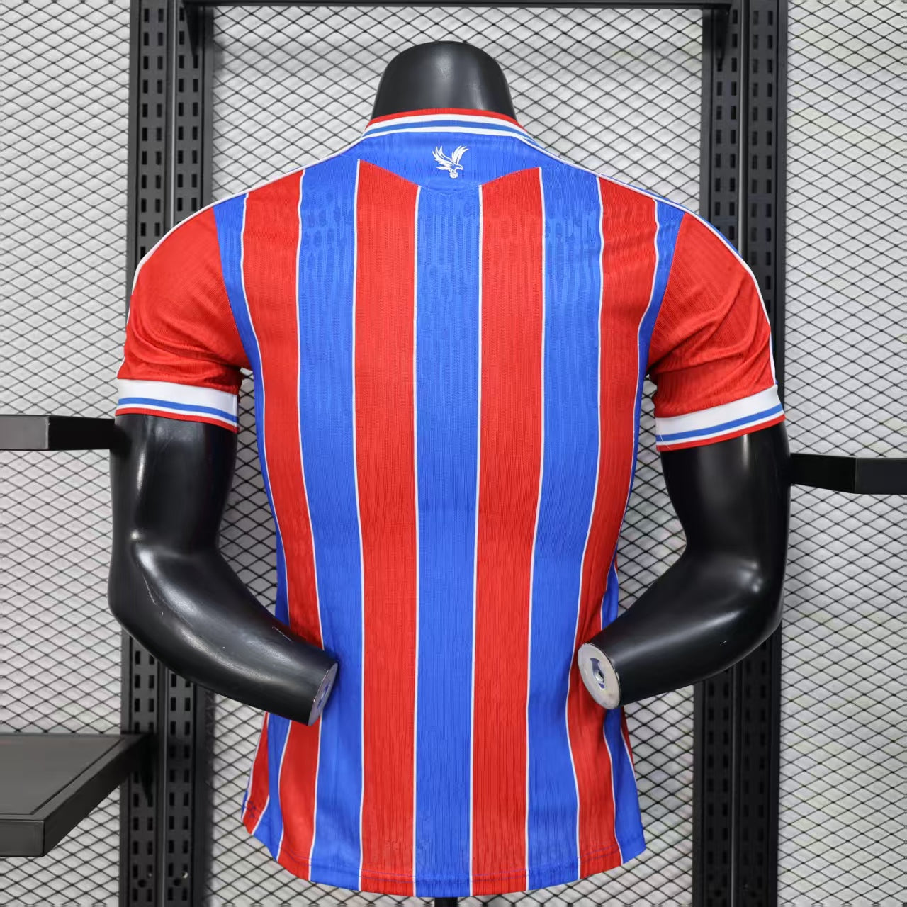Crystal Palace 24/25 Jersey