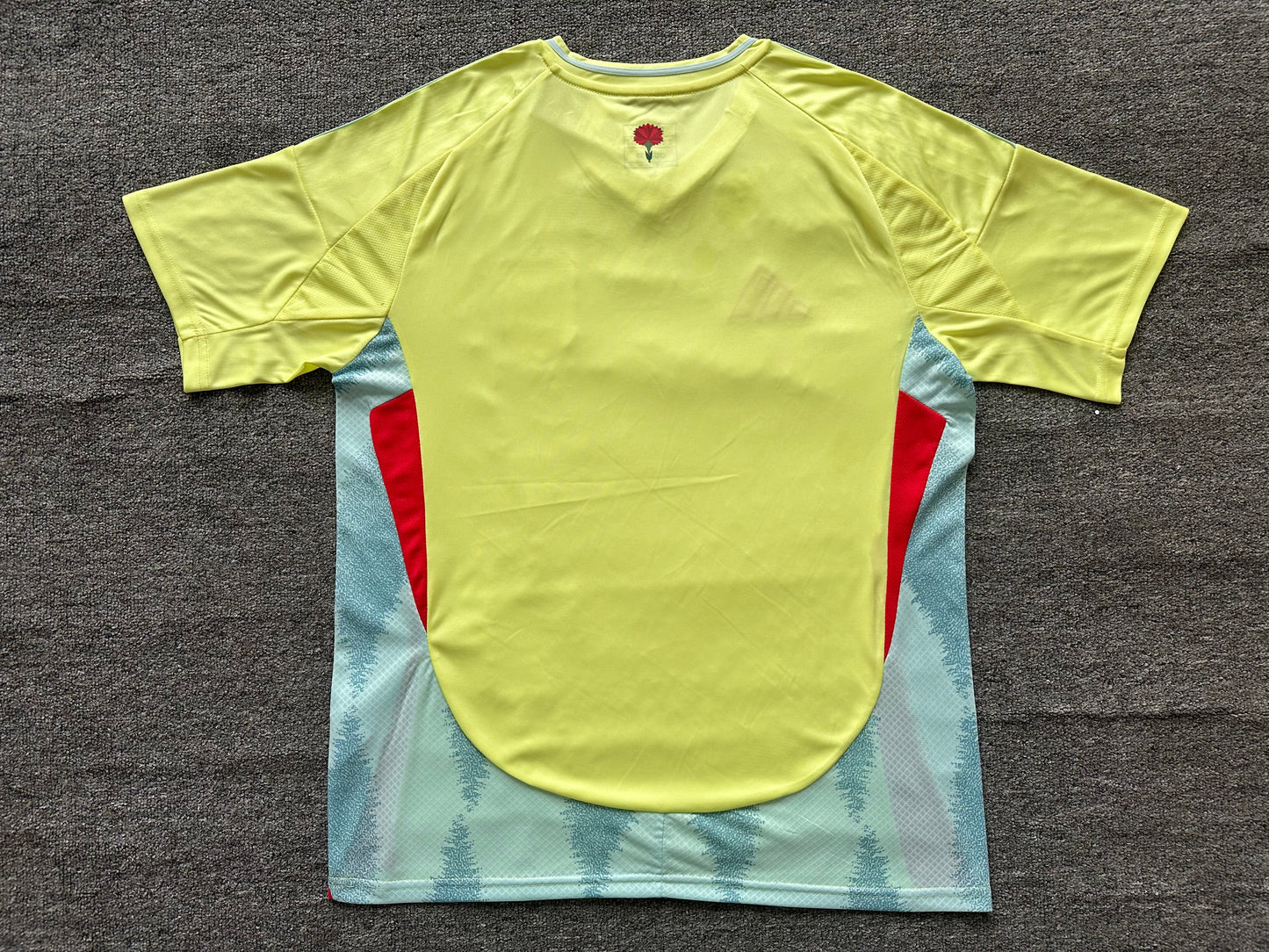 Maillot Espagne 24/25