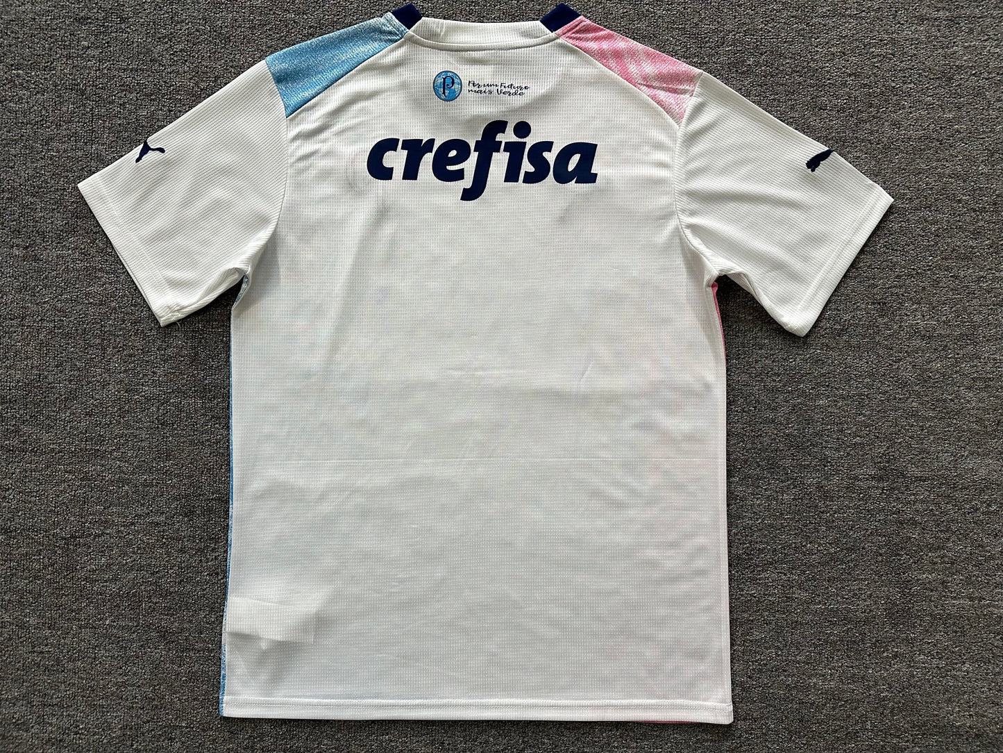 Maillot Palmeiras 23/24