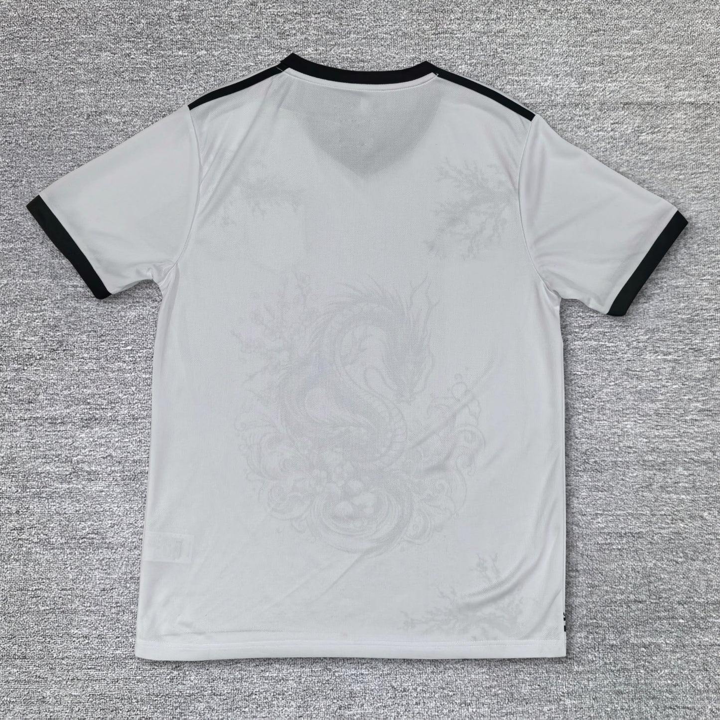 Maillot Japon Concept 25/26