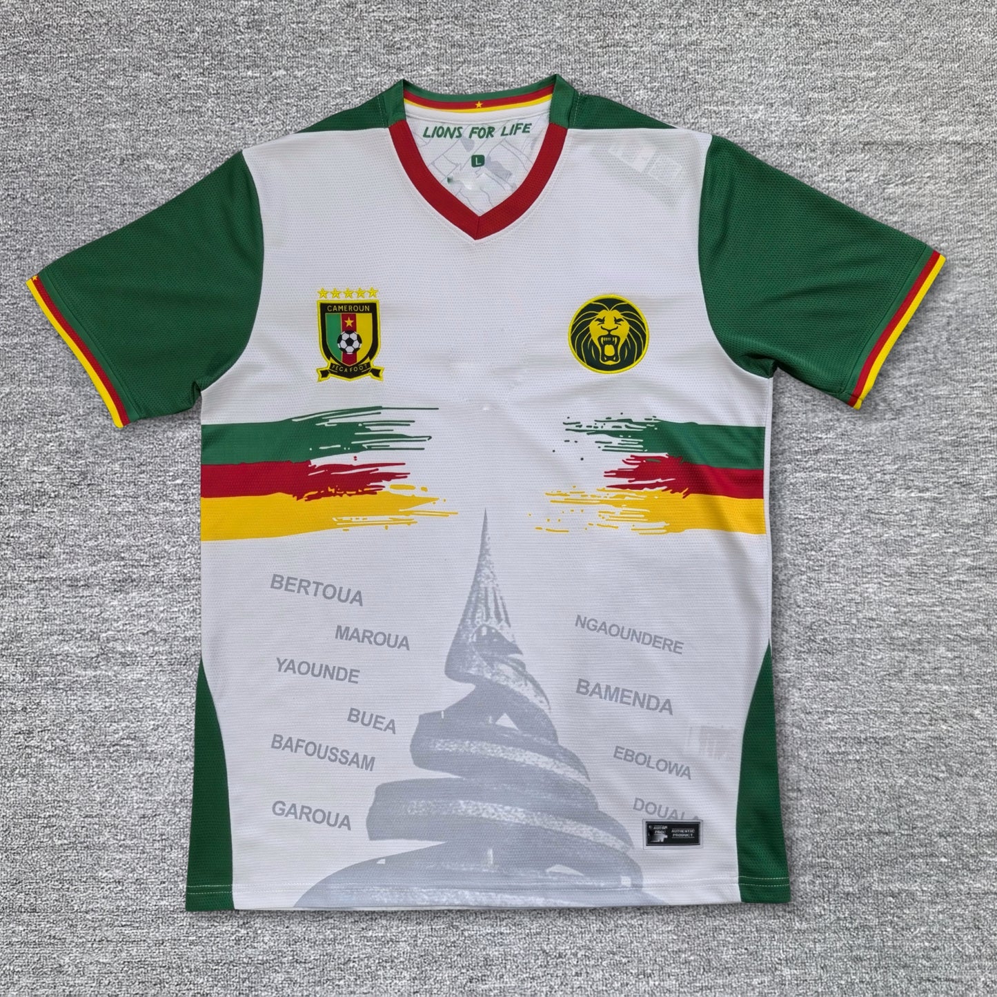 Maillot Cameroun 25/26