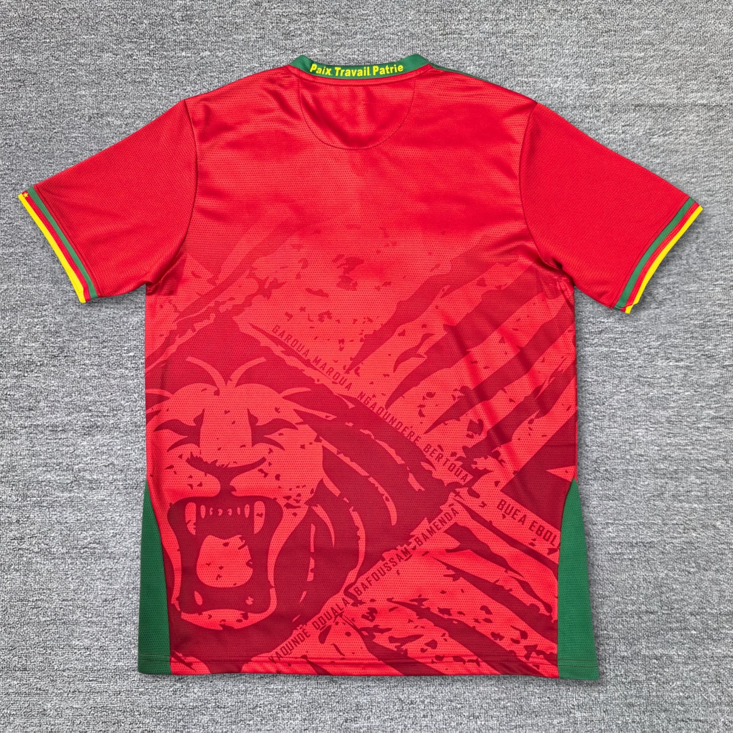 Cameroon 25/26 jersey