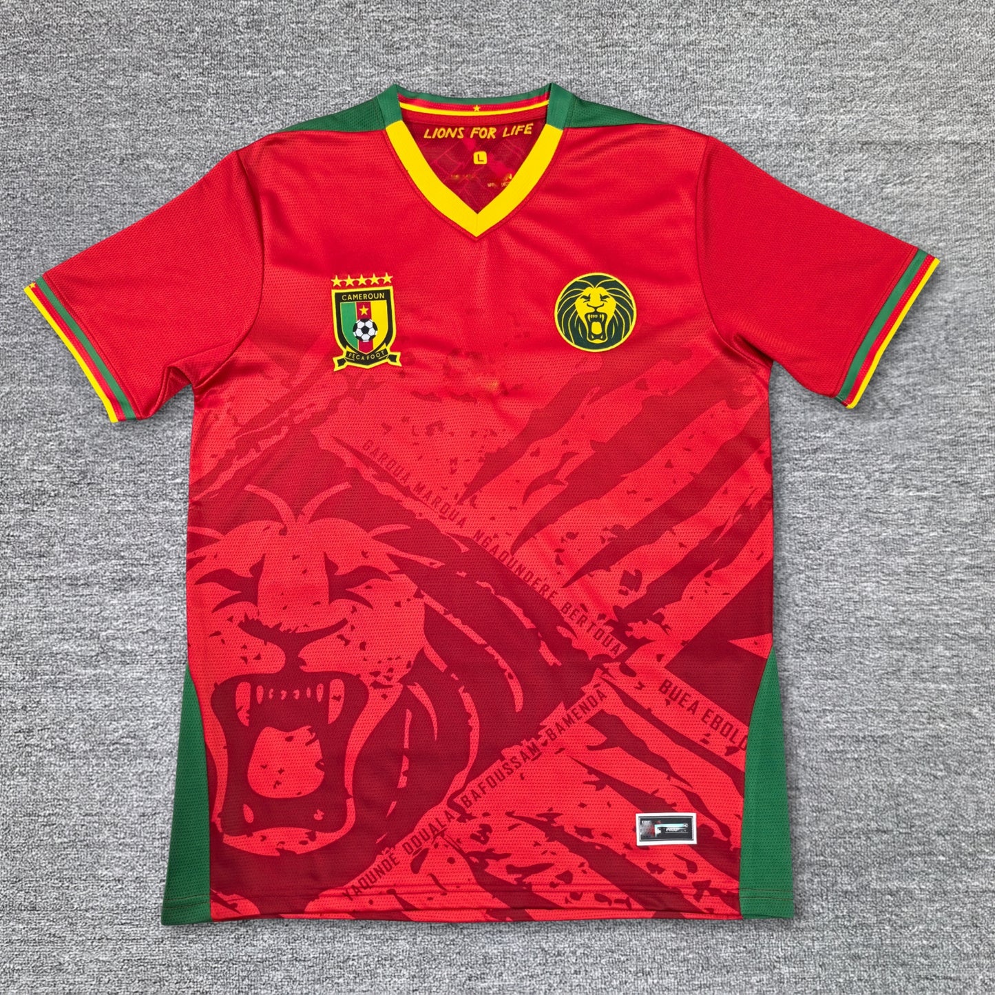 Cameroon 25/26 jersey