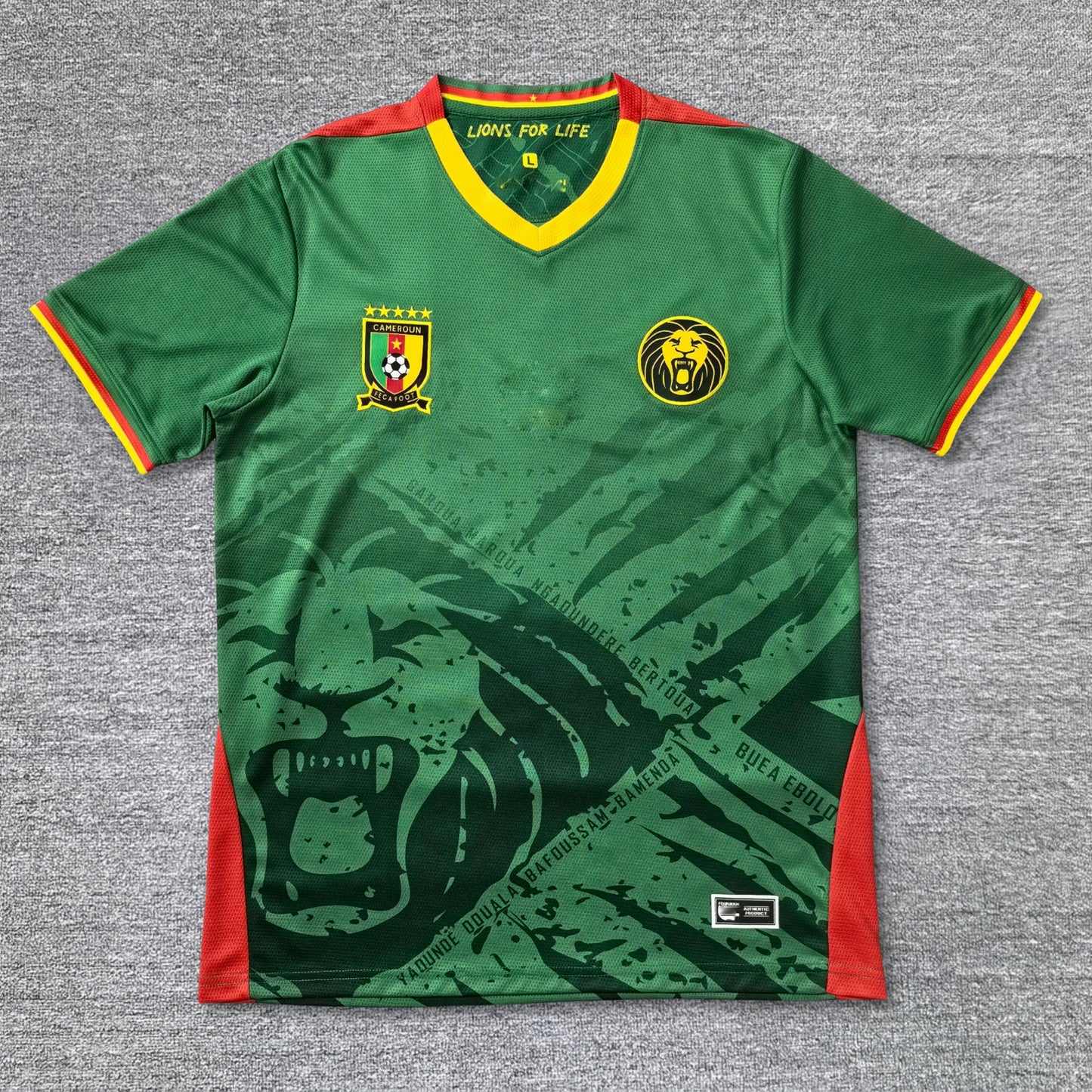 Maillot Cameroun 25/26