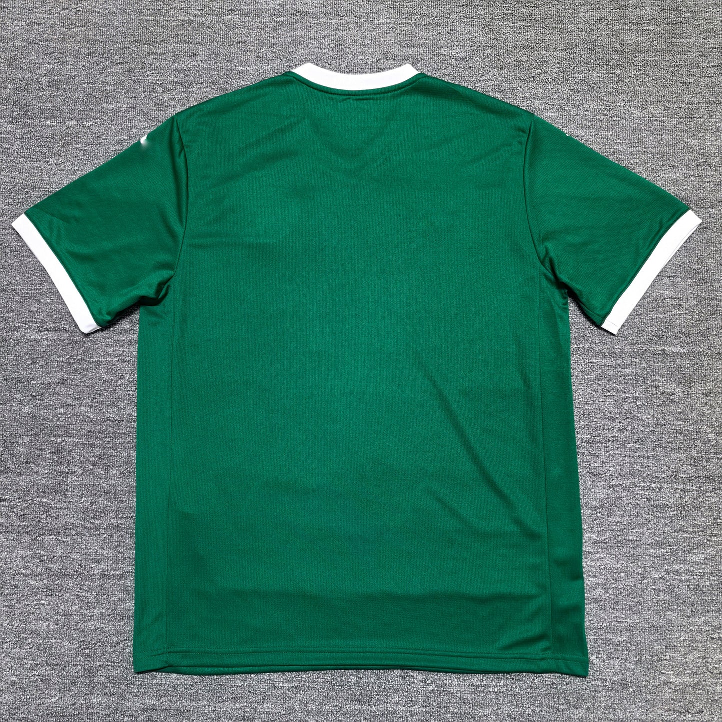 Maillot Palmeiras 25/26