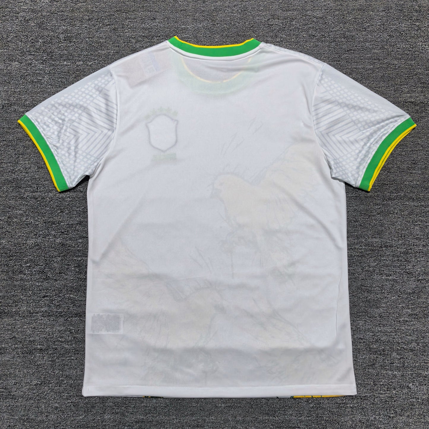 Maillot Brésil Concept 23/24