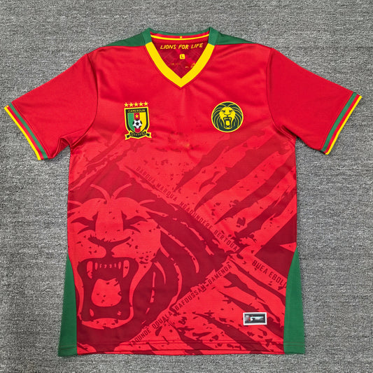 Maillot Cameroun 25/26