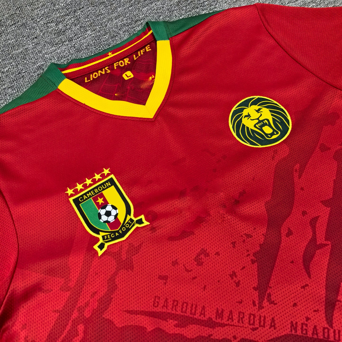 Maillot Cameroun 25/26