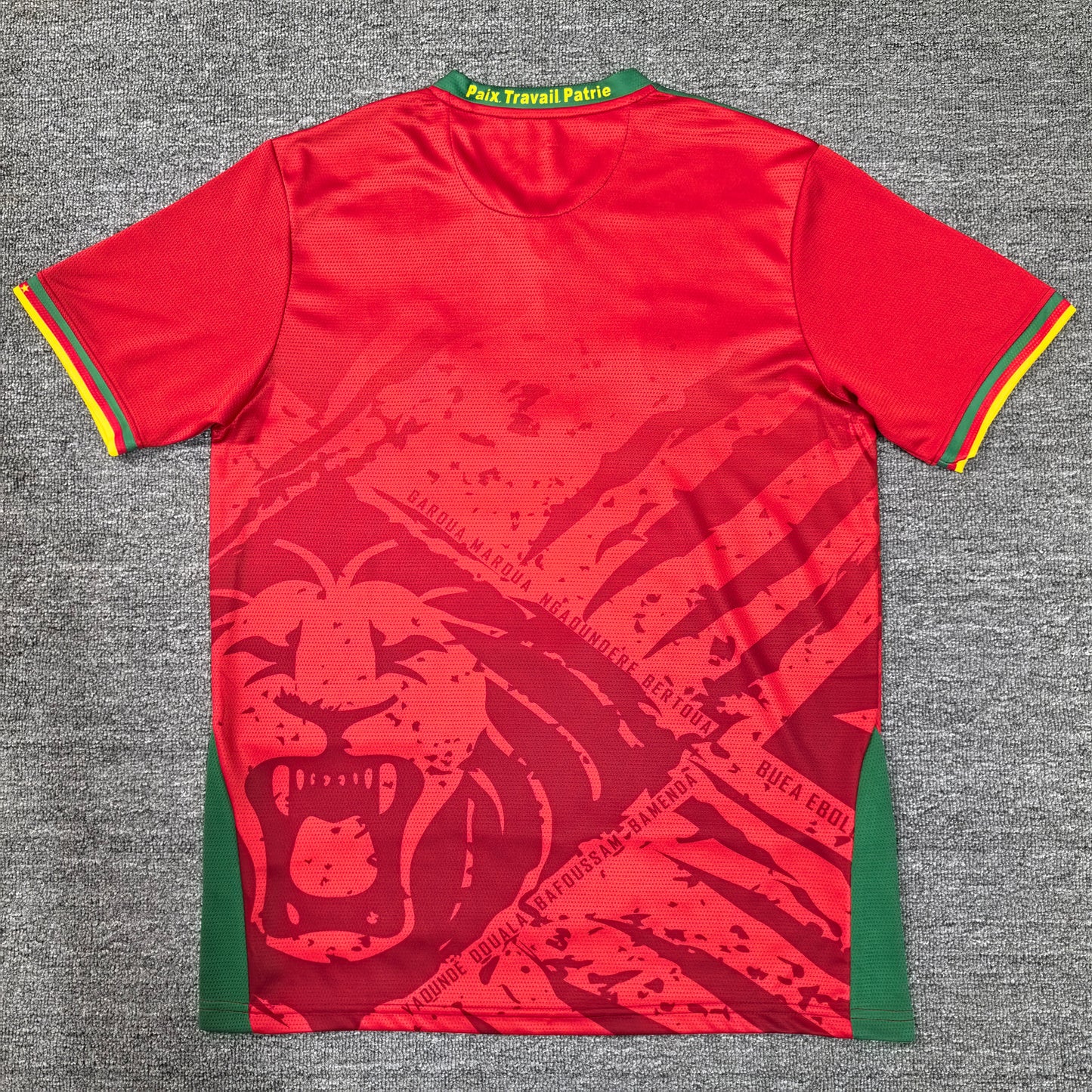 Maillot Cameroun 25/26