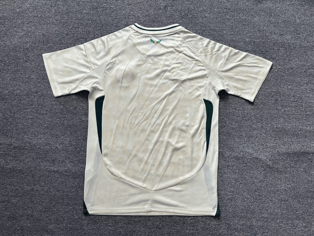 Maillot Arabie Saoudite 24/25