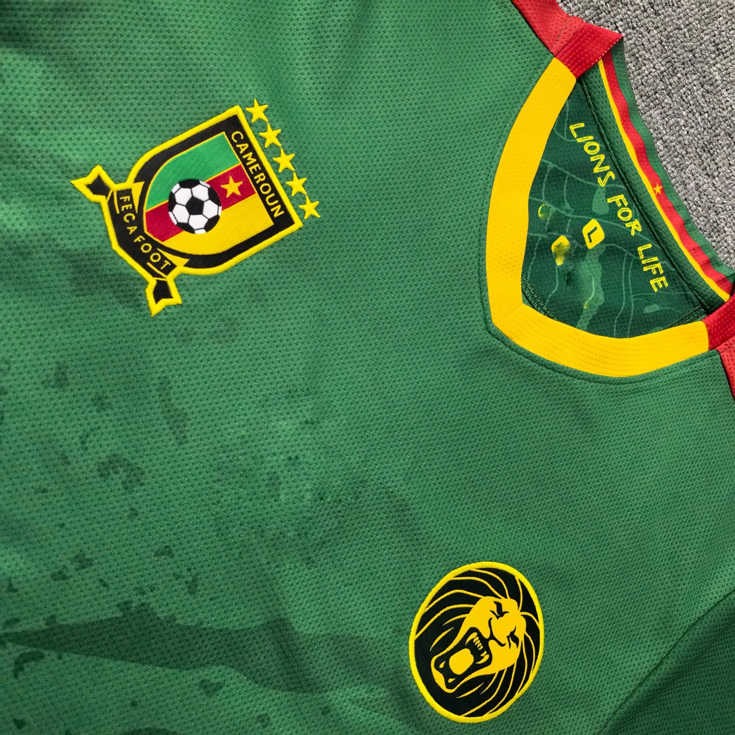 Maillot Cameroun 25/26