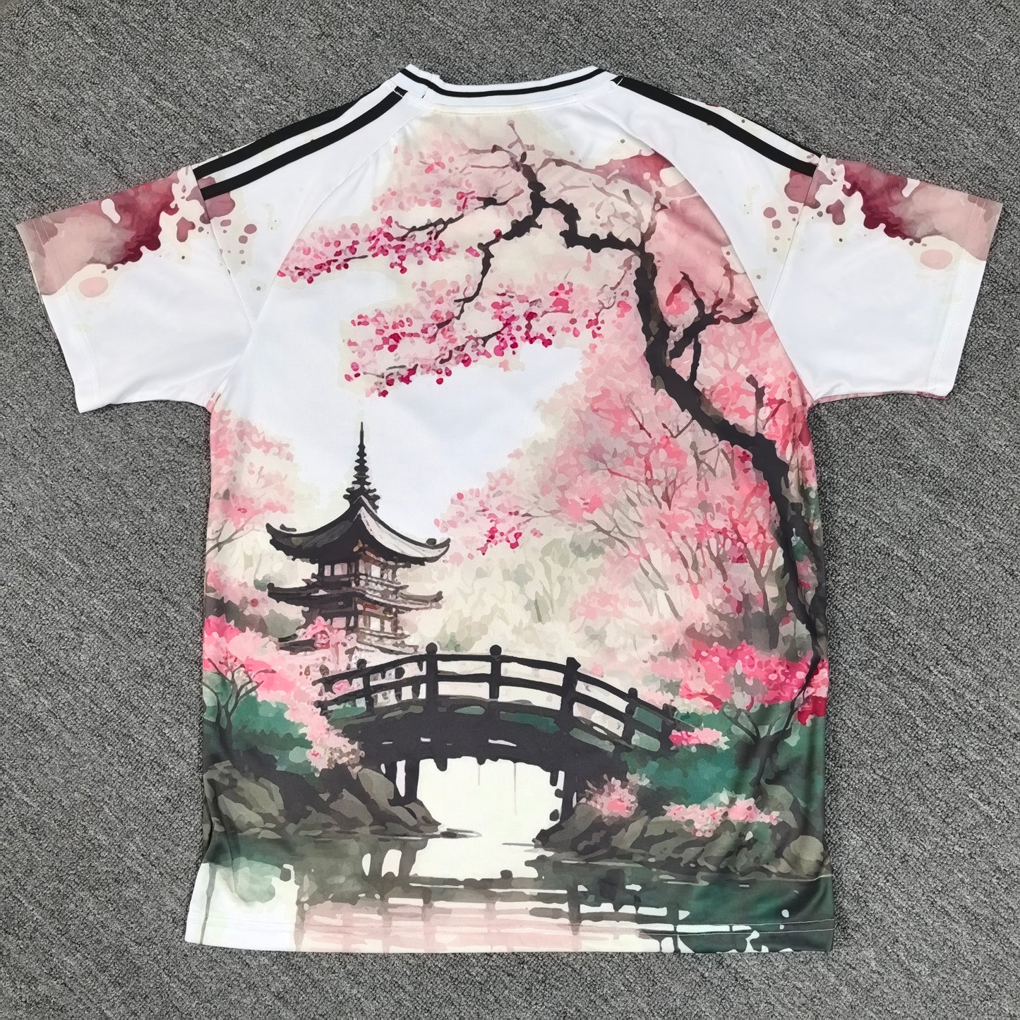 Maillot Japon Concept 25/26