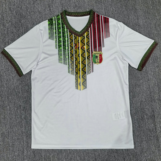 Mali 24/25 jersey