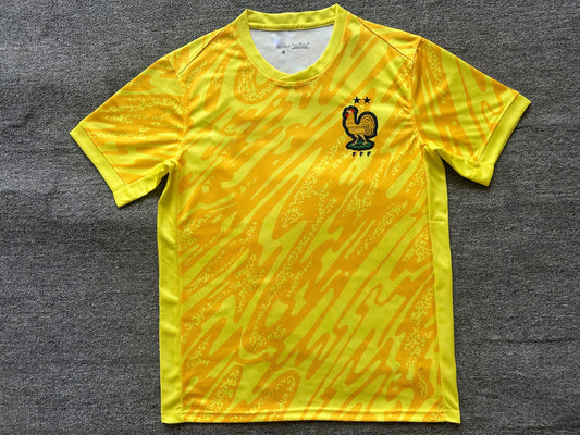 Maillot France 24/25