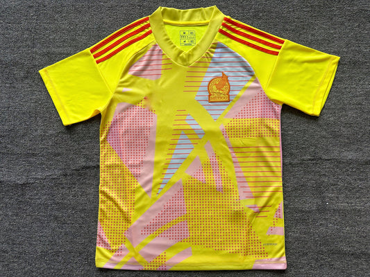 Maillot Mexique 24/25