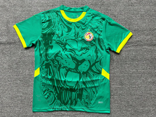 Maillot Sénégal 24/25