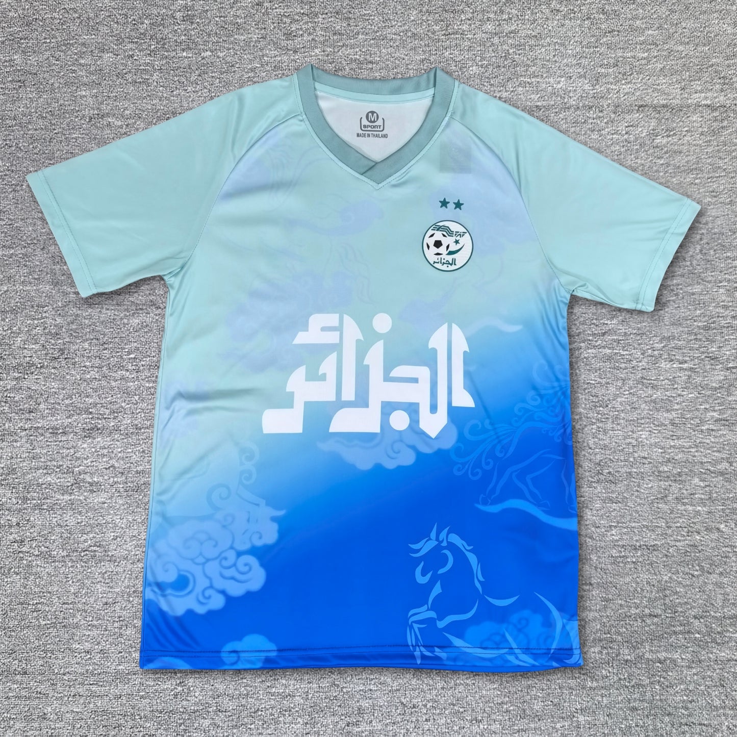 Maillot Algérie Concept 25/26
