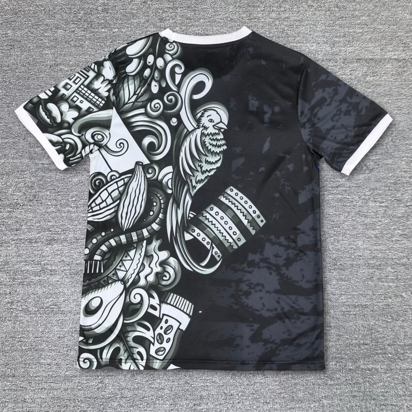 Maillot Japon Concept 25/26