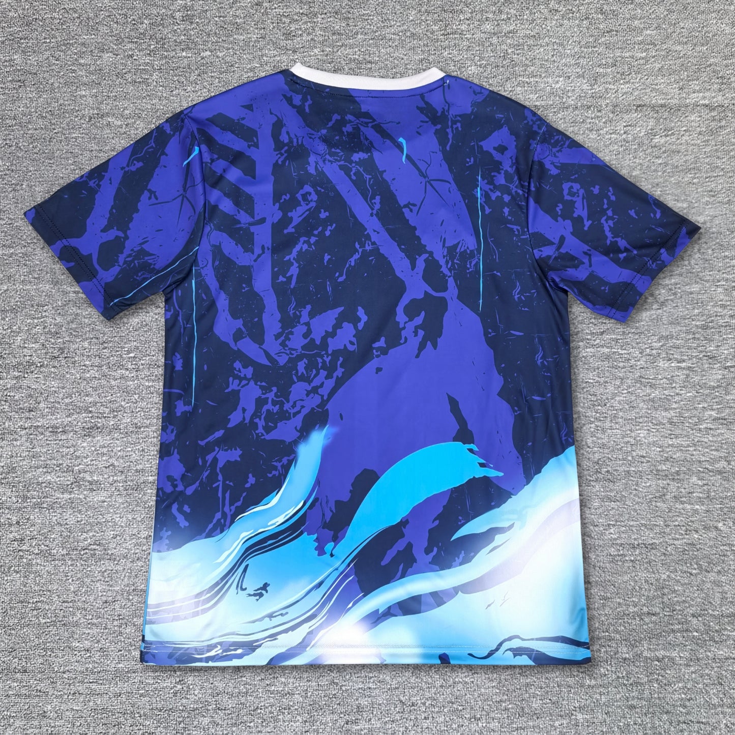 Maillot Japon Concept 25/26