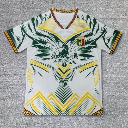 Maillot Mali Concept 2025-2026