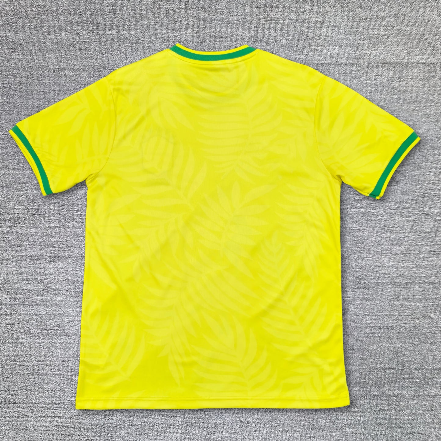 Maillot Brésil Concept 2024-2025