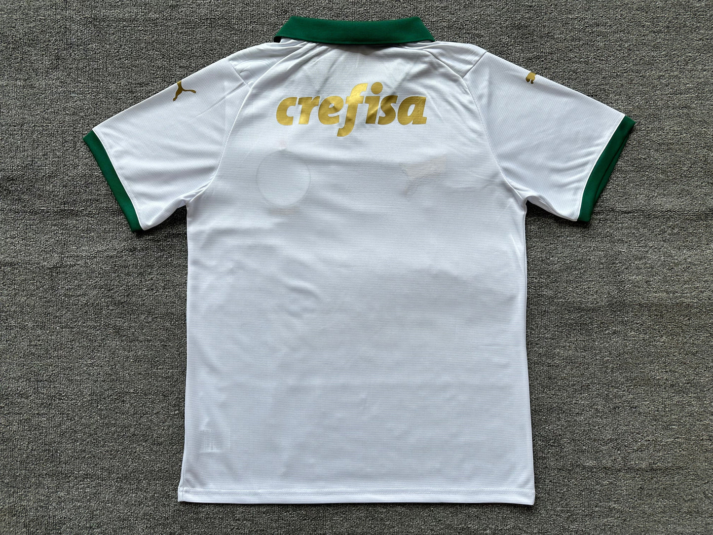 Maillot Palmeiras 24/25