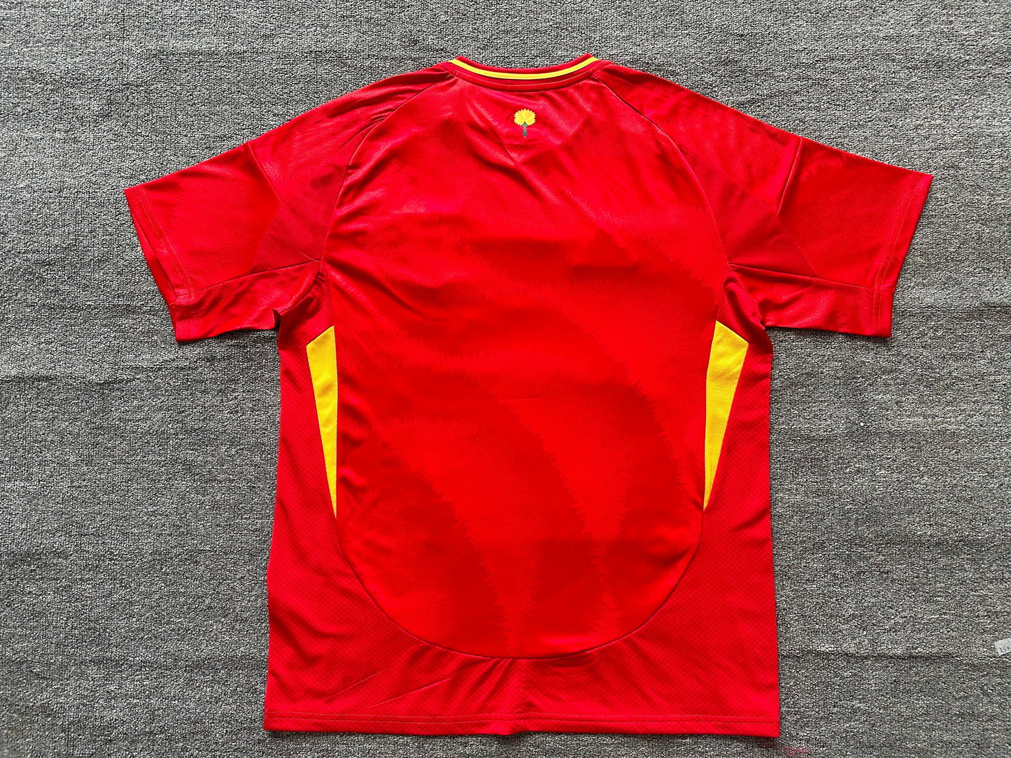 Maillot Espagne 2024